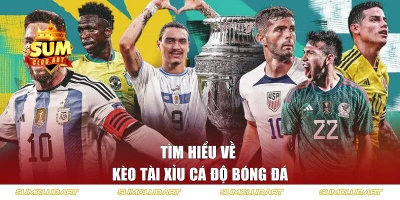 Giới thiệu về kèo tài xỉu cá độ bóng đá