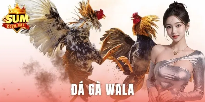Đá Gà Wala