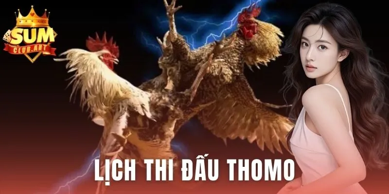 Lịch Thi Đấu Thomo